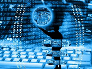 全球分红分销系统定制开发