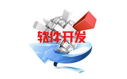 软件开发公司