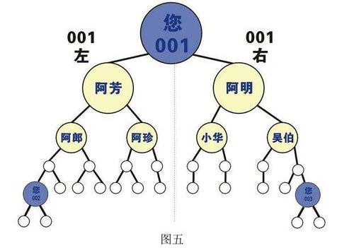 单轨一条线、公排等多种直销模式任意组合，打破传统单一销售模式